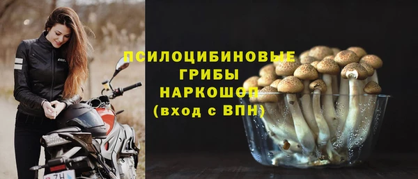 СК Гусев