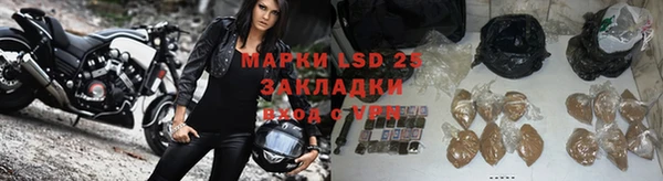 трава Гусь-Хрустальный