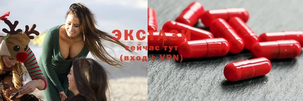 СК Гусев