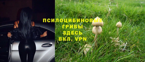 Альфа ПВП Гусиноозёрск