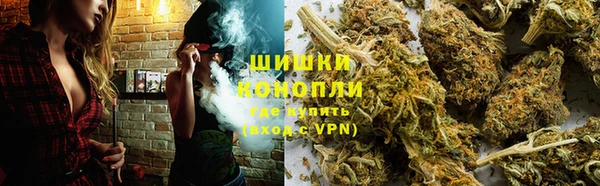 Альфа ПВП Гусиноозёрск
