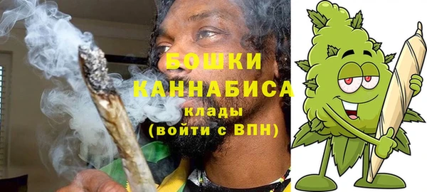 Альфа ПВП Гусиноозёрск