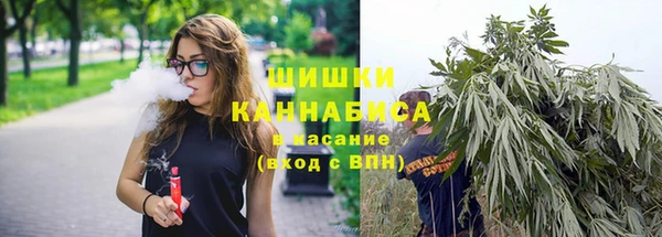 Альфа ПВП Гусиноозёрск