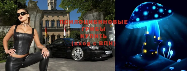 СК Гусев
