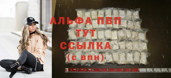 СК Гусев