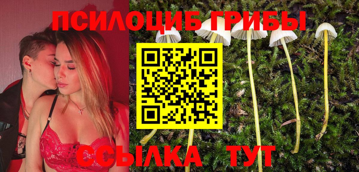 Галлюциногенные грибы MAGIC MUSHROOMS Воркута